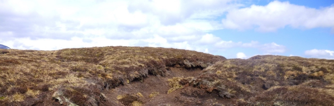 An image of a peatland landscape