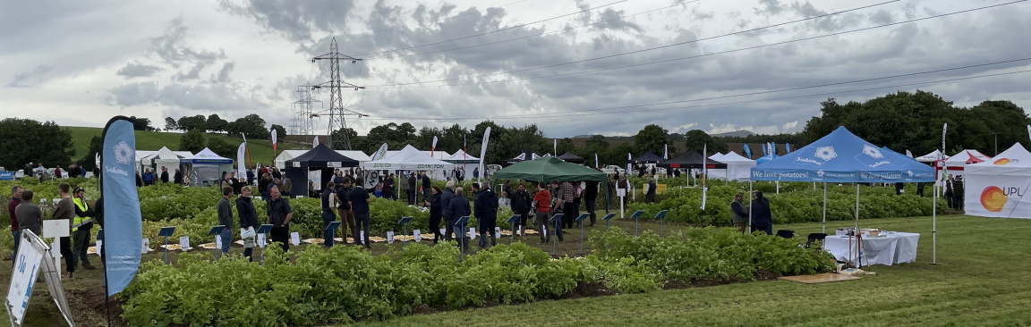 Image of Potatoes in Practice 2021