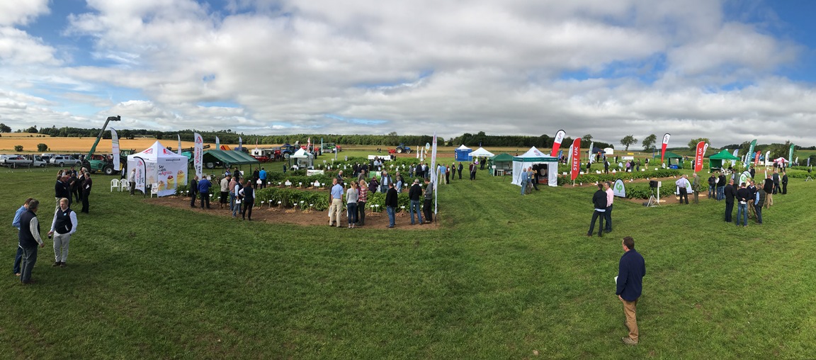 Potatoes in Practice is the UK's largest field-based potato event