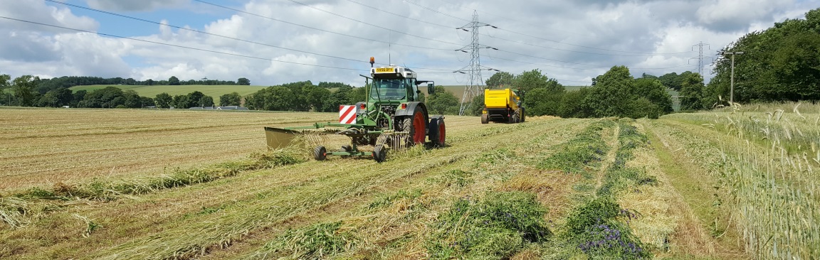Baling wheat and bean plant team (c) James Hutton Institute