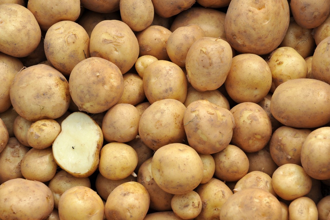 Potatoes (c) James Hutton Institute