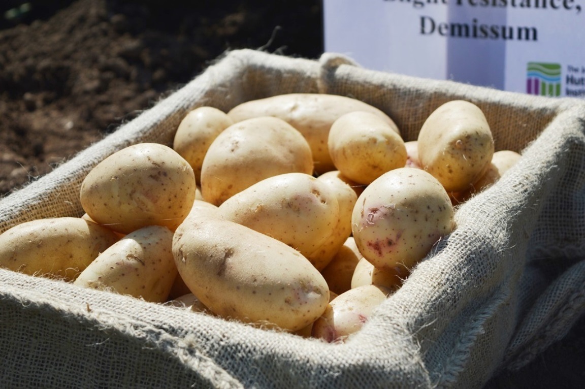 Potato exhibit at Potatoes in Practice (c) James Hutton Institute