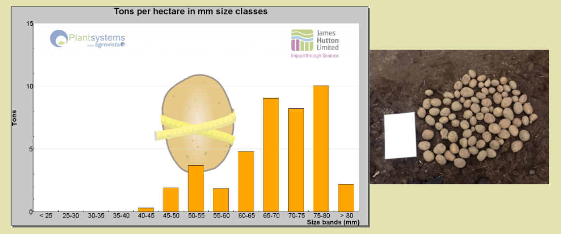 PotatoSize screenshot (c) James Hutton Institute