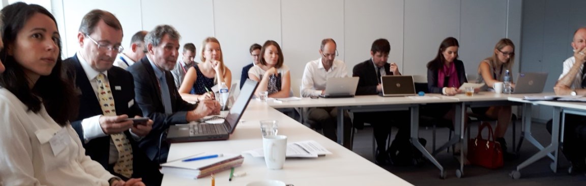 Rural innovation workshop in Brussels (c) James Hutton Institute