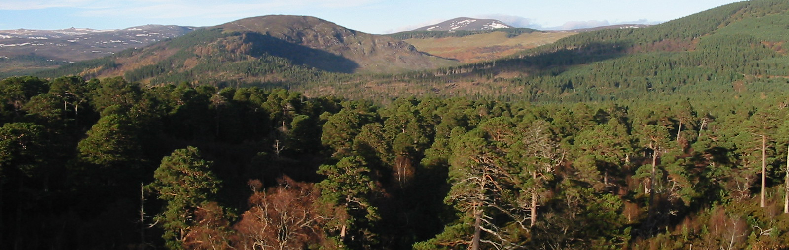 The James Hutton Institute