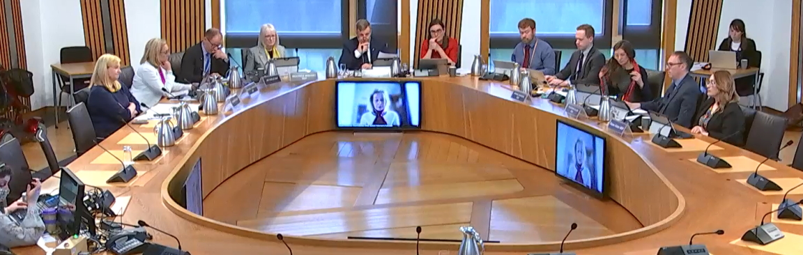 Image of RAINE committee evidence session at Scottish Parliament
