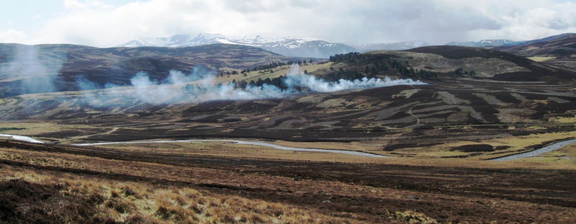 Heather burning at Glen Gairn (c) James Hutton Institute