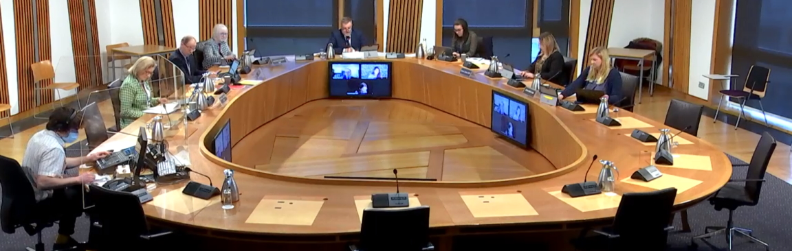Image of RAINE committee evidence session at Scottish Parliament