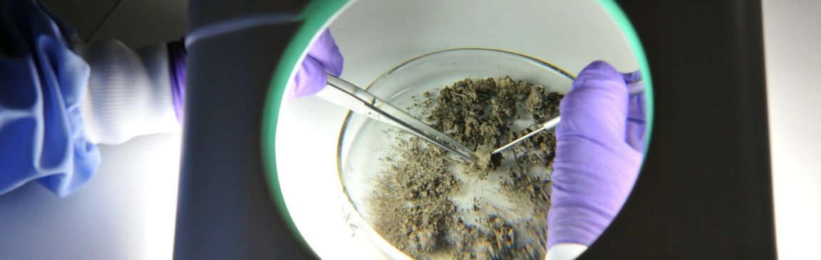 Soil research at the James Hutton Institute