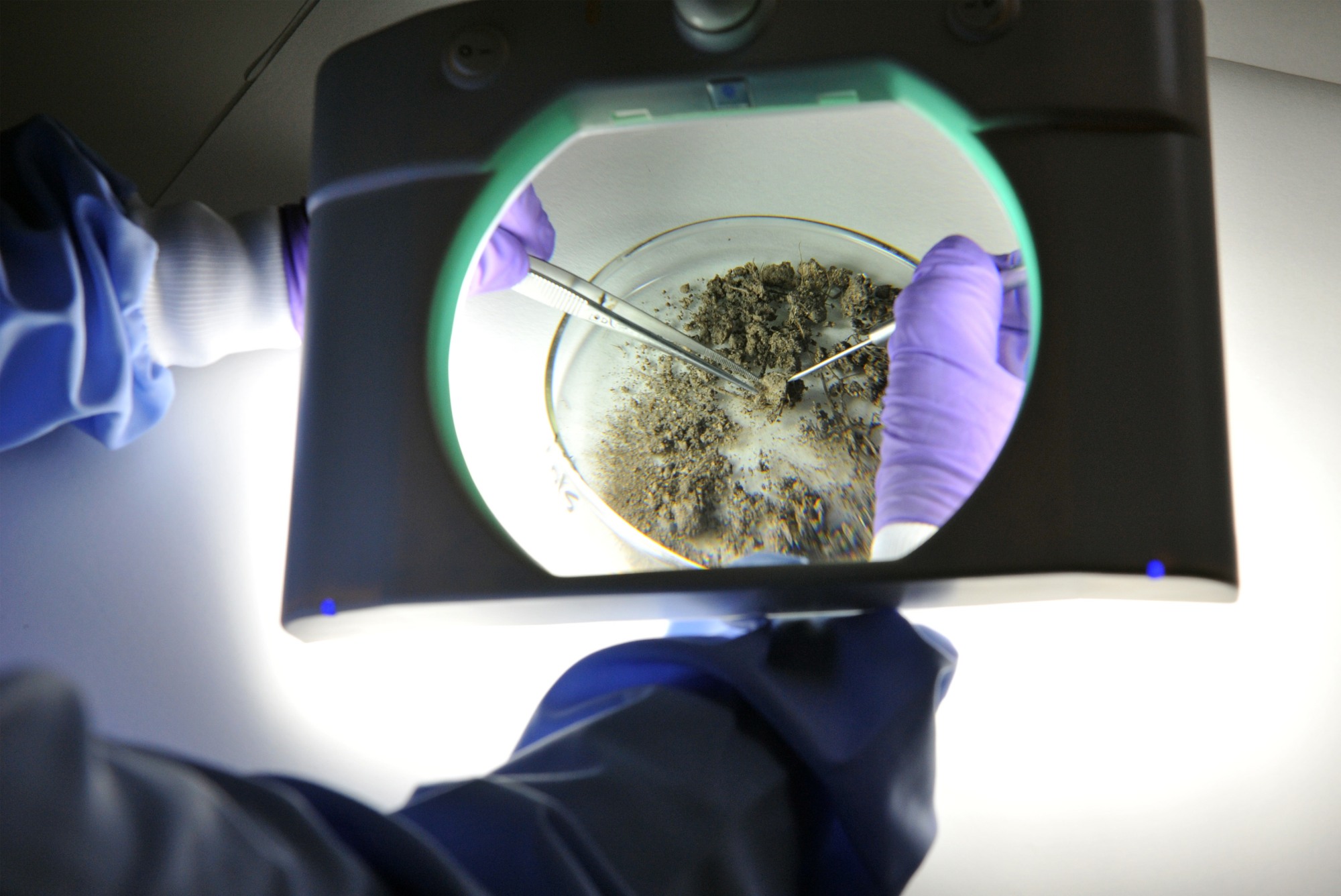 Soil analysis (c) James Hutton Institute