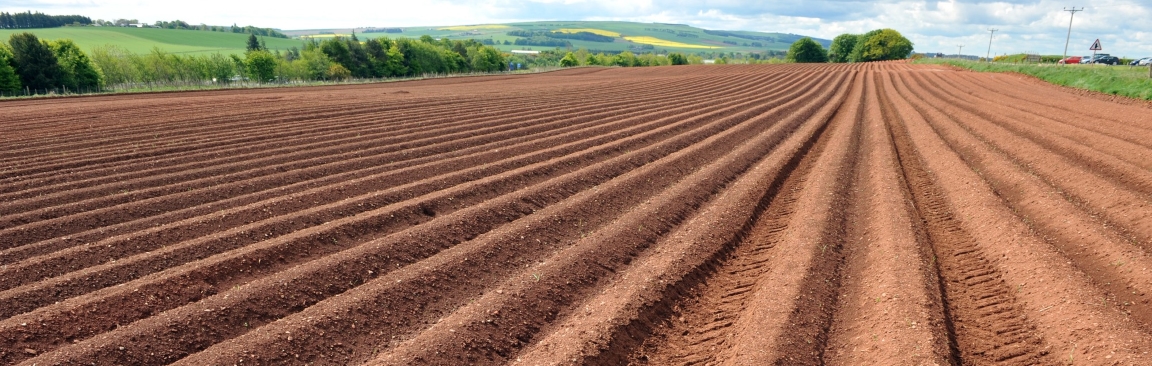 Soil furrows (c) James Hutton Institute