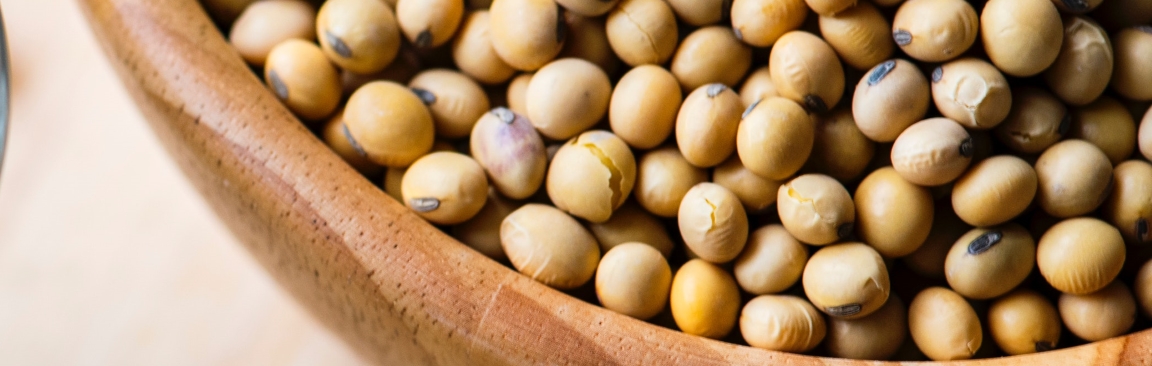 Soybeans are a source of plant-based lysine (Photo by rawpixel.com from Pexels)