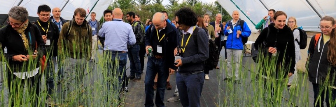 Tour of barley mutants during iBMW2018 (c) James Hutton Institute
