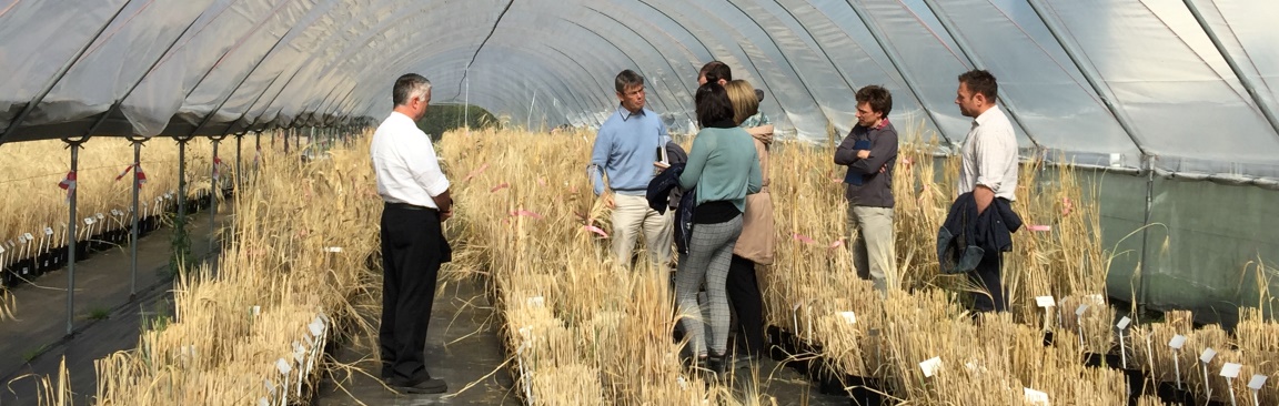 VIBES judges visited our Invergowrie site (c) James Hutton Institute