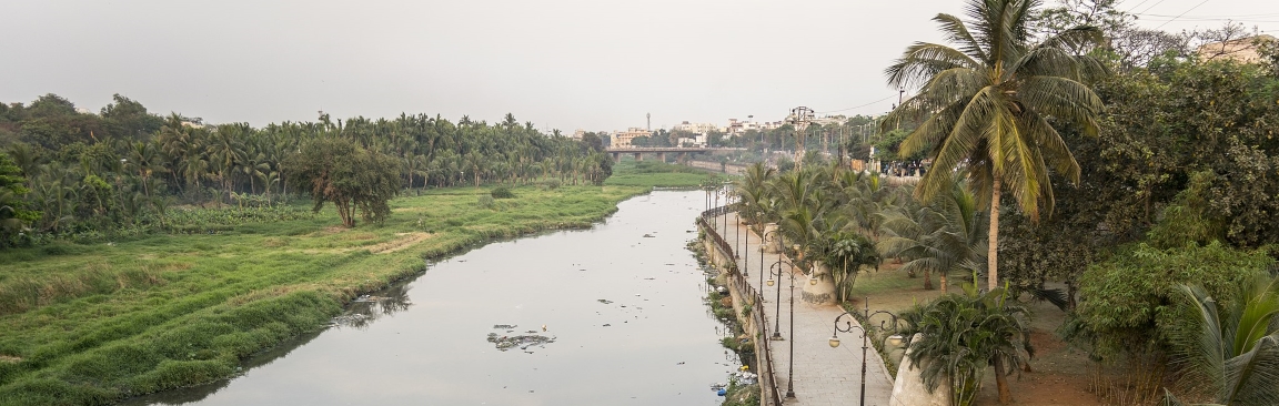 Pic: Mohammed Mubashir/CC BY-SA (https:/creativecommons.org/licenses/by-sa/4.0)
