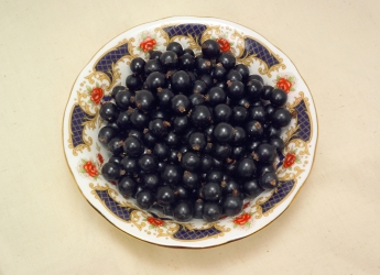 Berries (c) James Hutton Institute