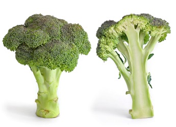 Broccoli © Wikicommons Fir0002/Flagstaffotos