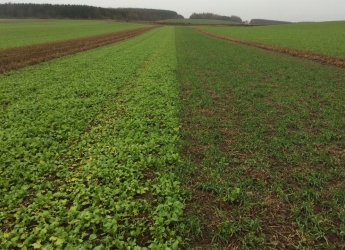 Trial at Balruddery Farm near Dundee