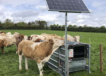 Beef Monitoring tool identified as a potential digital game changer 
