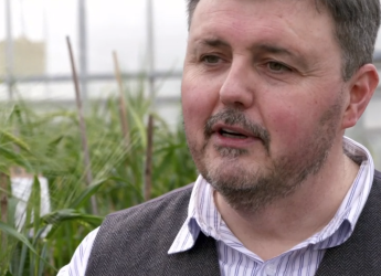 Professor Derek Stewart