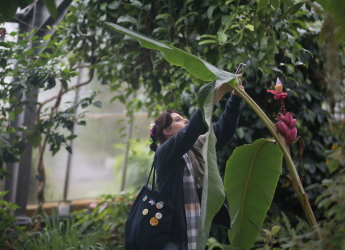 The self-guiding trail will take visitors on an adventure through nature