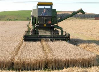 Harvest at Balruddery Farm, near Dundee