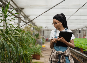 Only 11% of top ecology authors are women (Photo: Tima Miroshnichenko/Pexels)