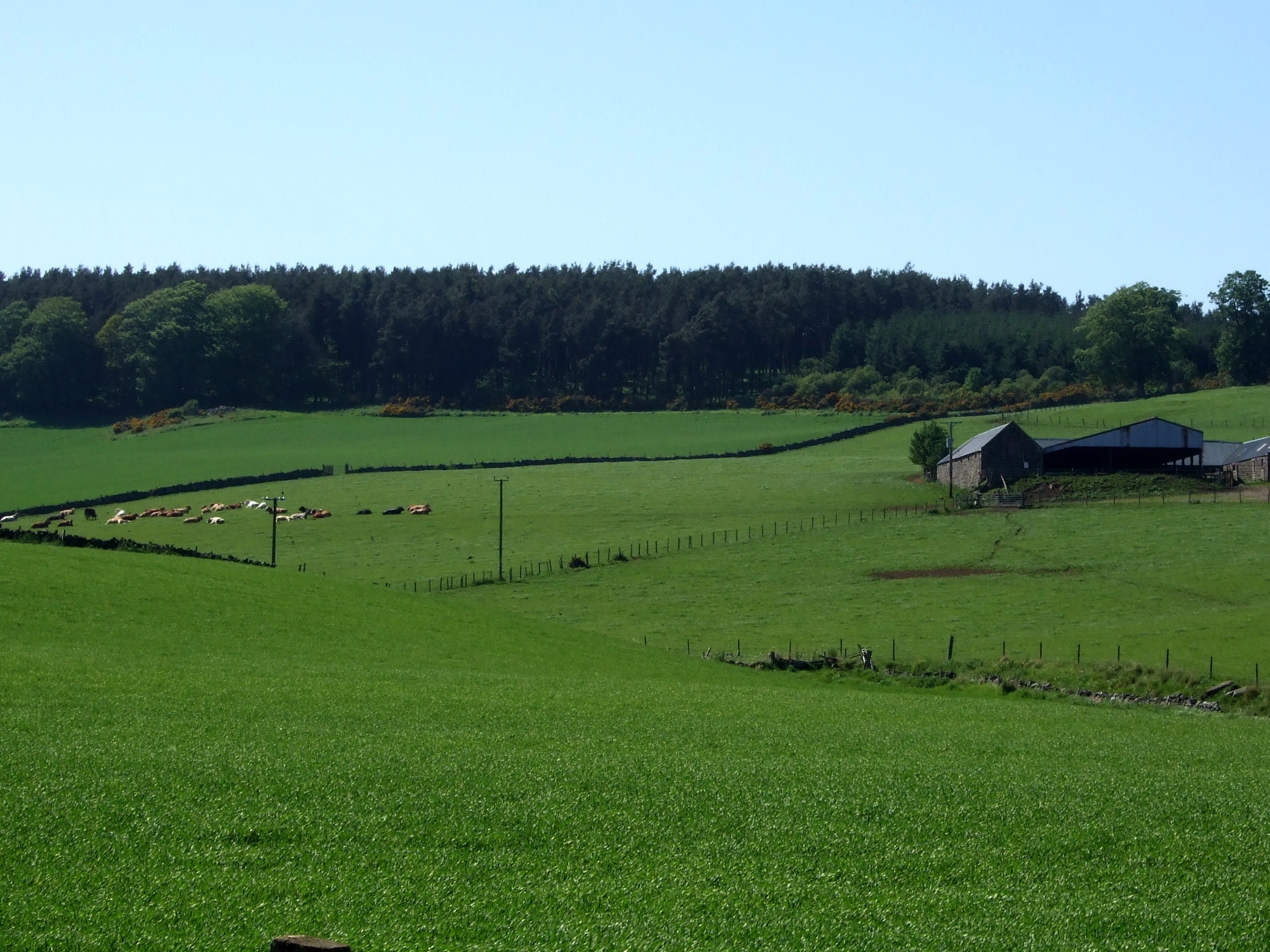 Farm