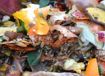 Food waste shows huge potential to replace energy crops
