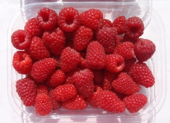 Punnet of Glen Carron raspberries (c) James Hutton Limited