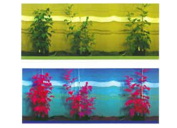 Light-weight and spectral sensors for agriculture can reveal data about crops