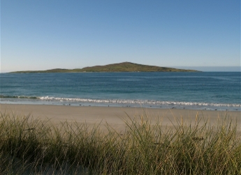 Islands Revival is funded by the SEFARI Responsive Opportunity Fund