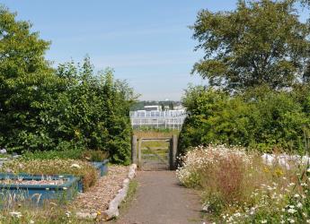 The new report explores barriers to land-based activities (c) James Hutton Inst