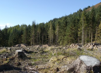 Forestry in a mountain ecosystem (c) James Hutton Institute
