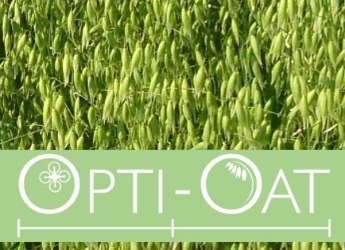 Opti-Oat researchers have developed the first UK Oat Growth Guide