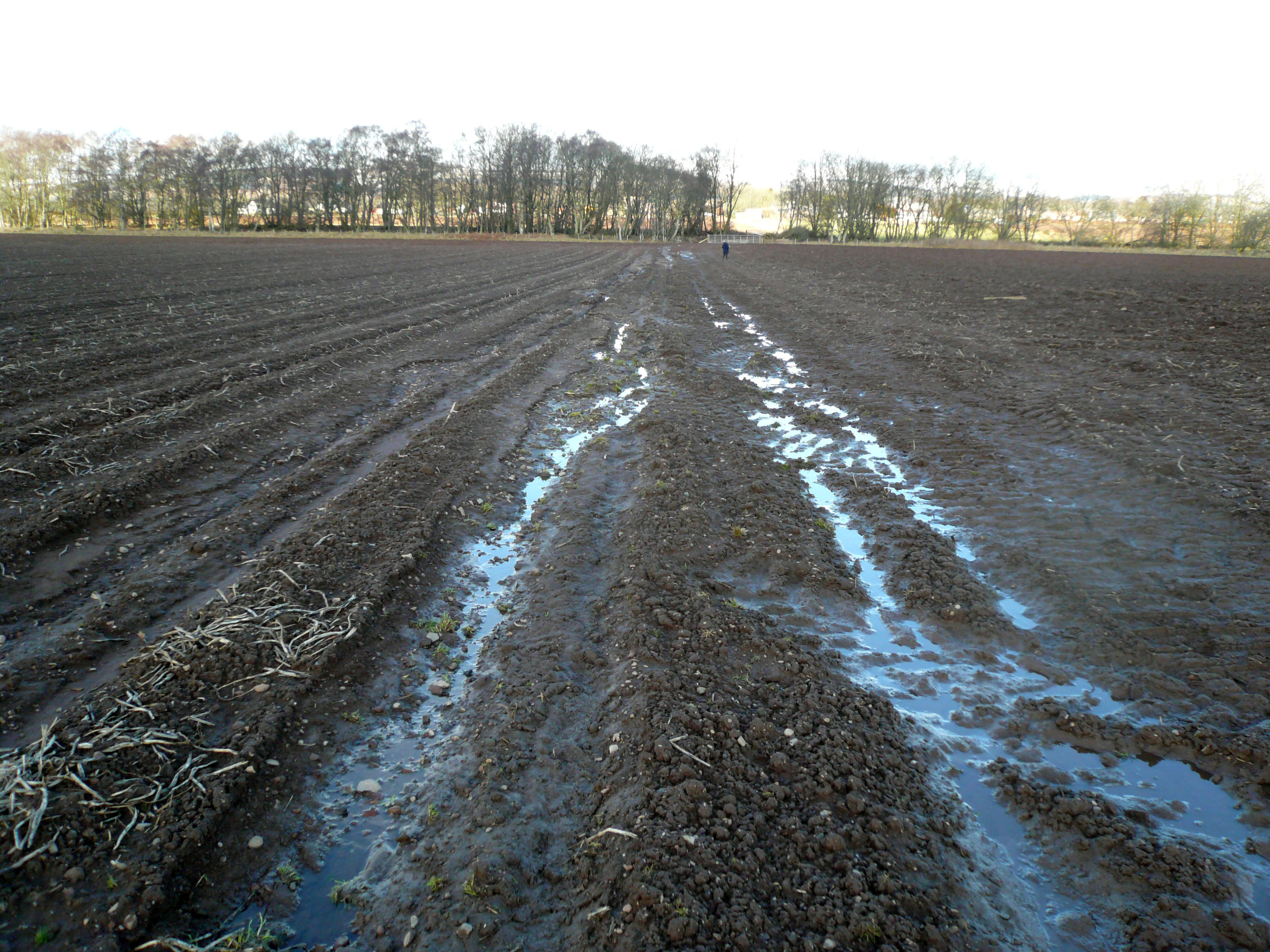 soil runoff