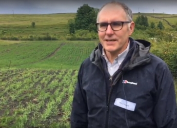 Crofter Mike Hyatt and his intercropping trial in Lismore