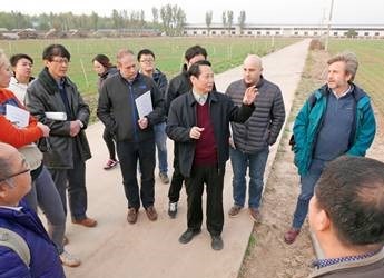Research collaboration between China and the UK (c) James Hutton Institute