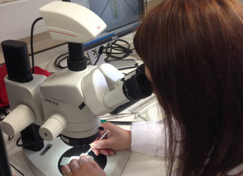 The James Hutton Institute has reached a €8 million mark in EU funding