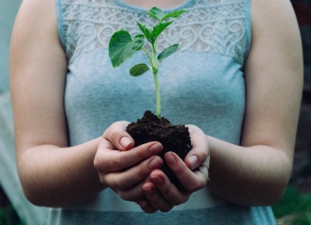 No soil means no life (Photo: Nikola Jovanovic/Pixabay)