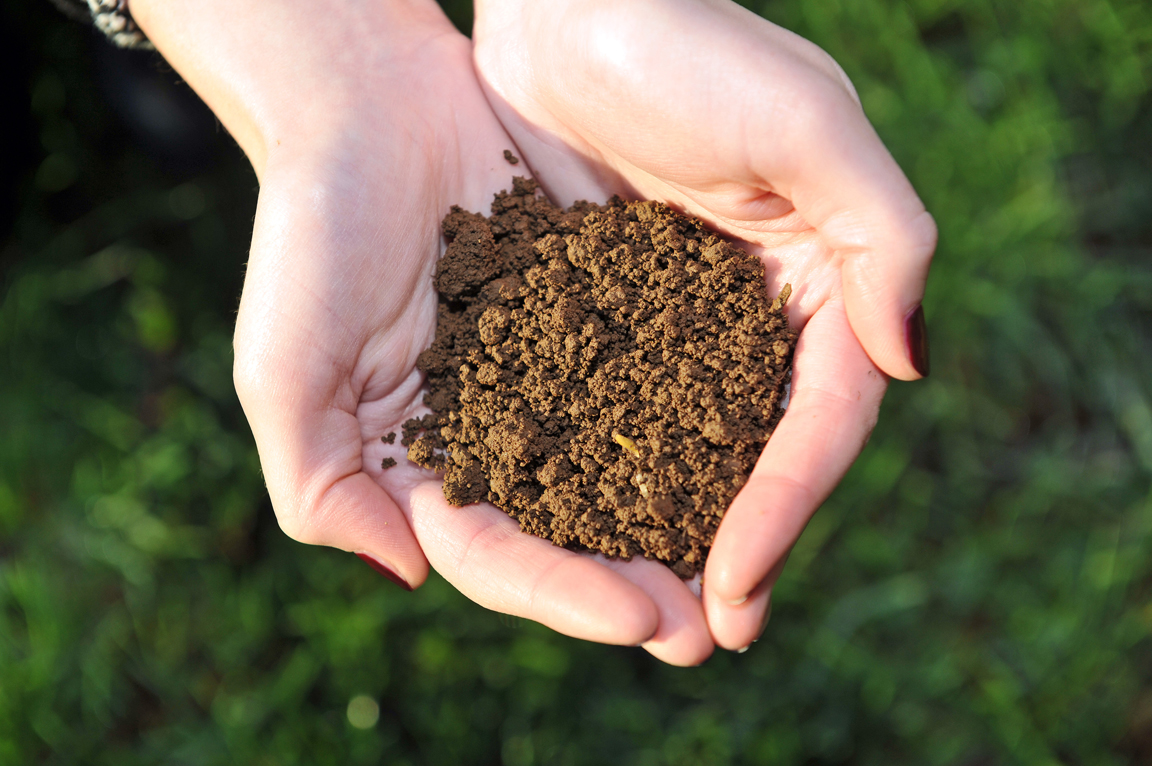 A handful of soil (c) James Hutton Institute