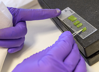 Molecular Phenotyping Centre