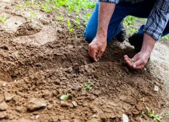 The Rock On Soils project involved scientists and farmers working together