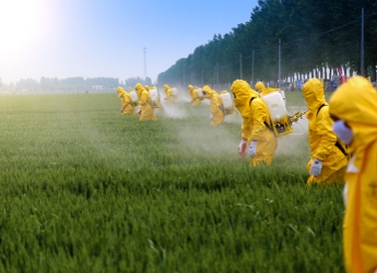 Farmers spraying pesticides in a wheat field (Jinning Li/Shutterstock.com)