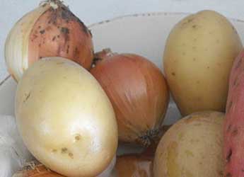Potatoes and onions © Ilana Shkolnik via PikiWiki (Wikimedia)