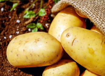 Potatoes (Image by Couleur from Pixabay) 