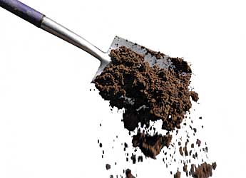 Soil being tipped from a spade