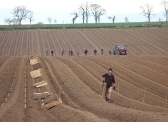 Potato harvest at Balruddery (c) James Hutton Institute