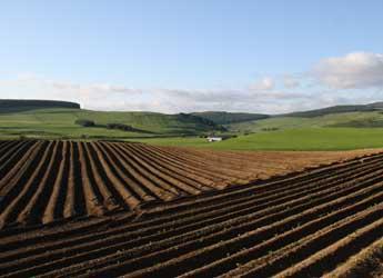 Ploughed field with forestry in background (c) James Hutton Institute