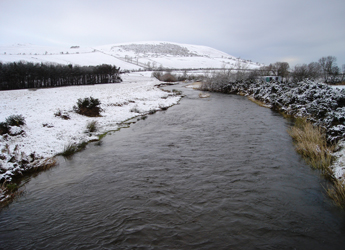 Image showing the Yetholm Mains, Bowmont Water, Scottish Borders